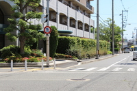 その他現地写真:前面道路もスッキリとしています。