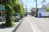 その他現地写真:前面道路もスッキリとしています。